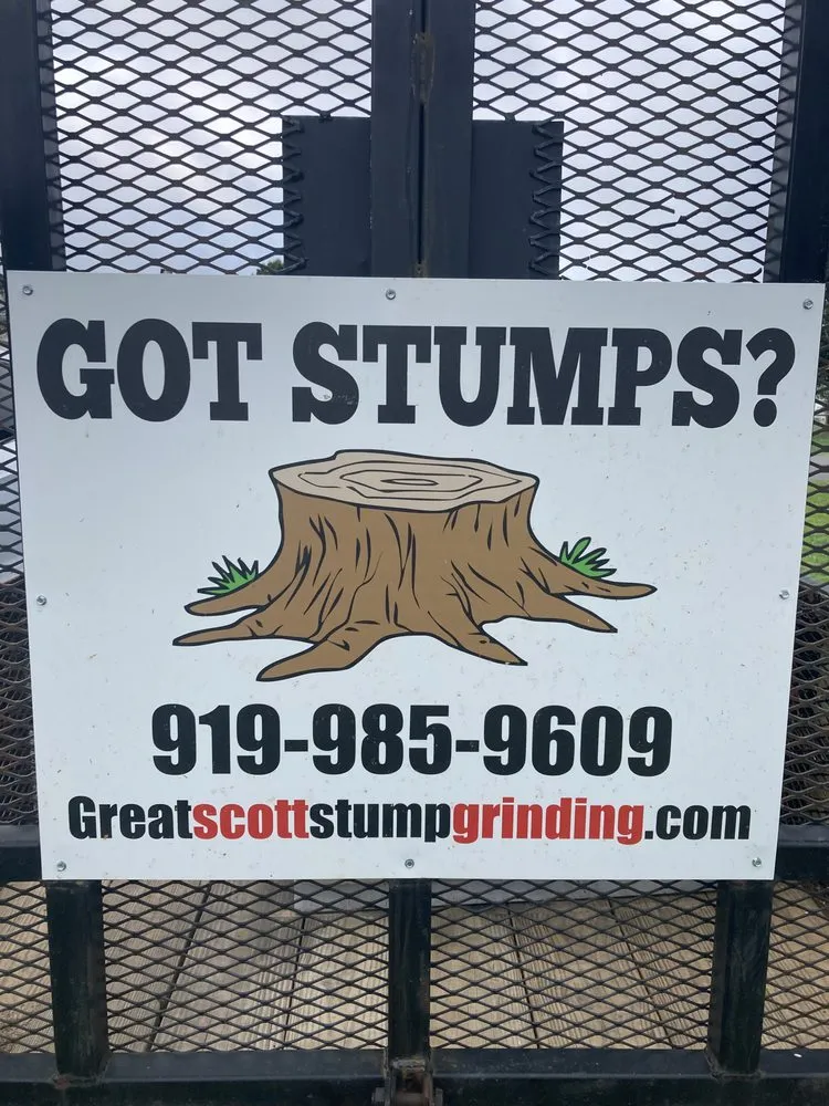 Affordable landscape design for beautiful yards across Clayton, NC - Great Scott's Residential Services