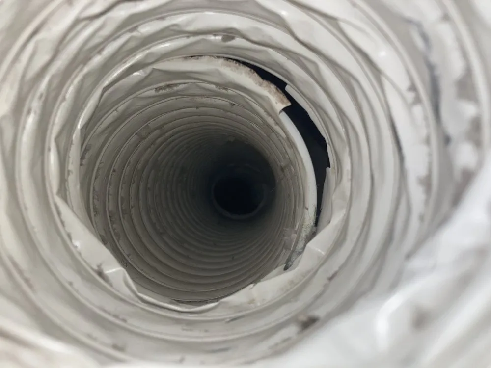 Trusted landscaping services experts serving Clayton, NC - Great Scott's Residential Services