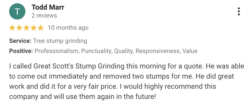 Expert landscape installation experts serving Clayton, NC - Great Scott's Residential Services