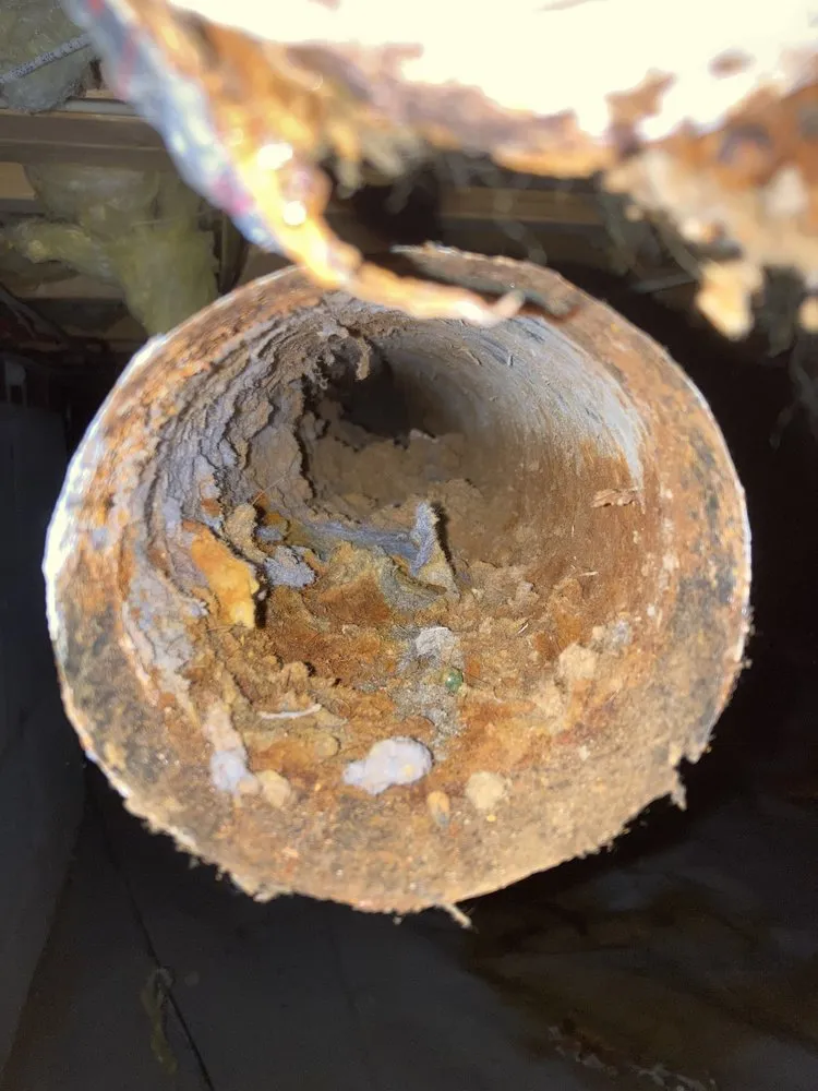 Reliable outdoor landscaping with custom design across Clayton, NC - Great Scott's Residential Services