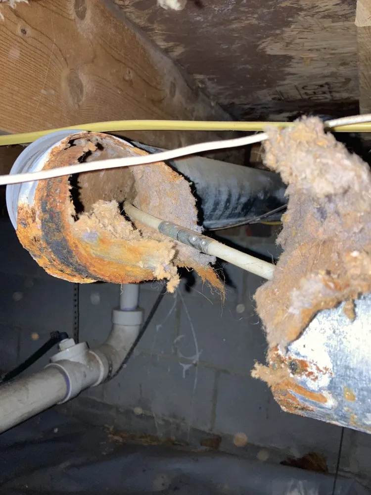 Local garden landscaping for year-round maintenance across Clayton, NC - Great Scott's Residential Services