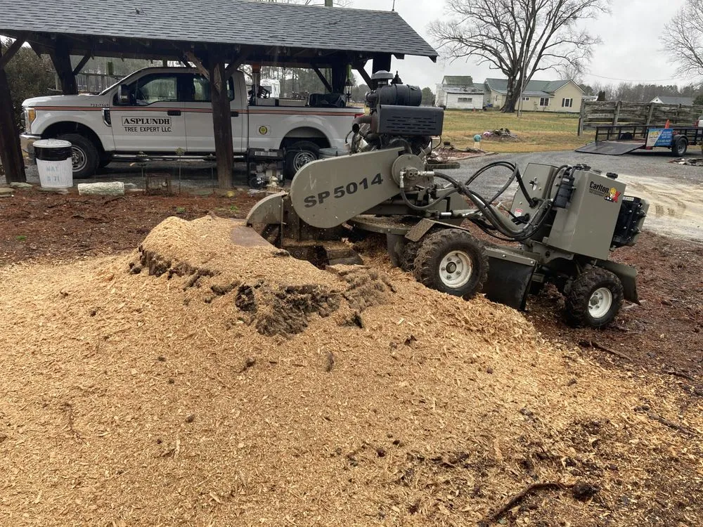 Expert yard maintenance for outdoor upgrades in Clayton, NC by Great Scott's Residential Services