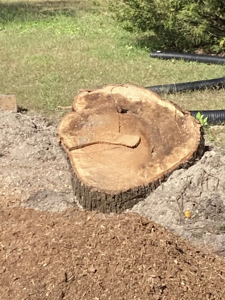 Local yard cleanup service in Clayton, NC by Great Scott's Residential Services