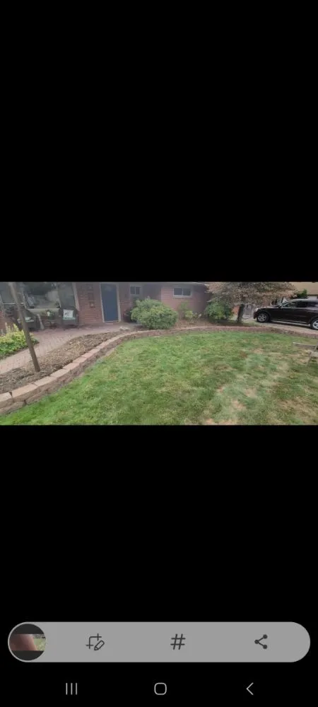 Professional yard cleanup service in Dearborn Heights, MI - Great services Landscaping