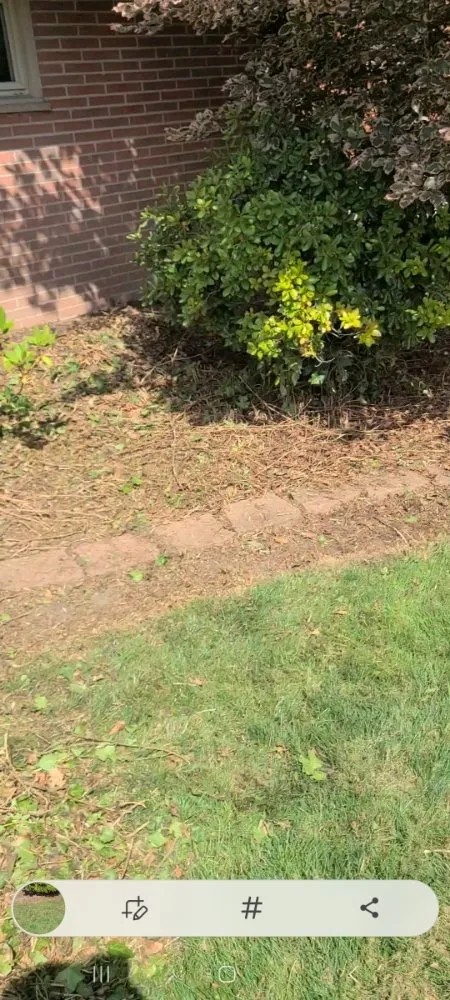 Top-rated landscaping services in Dearborn Heights, MI - Great services Landscaping