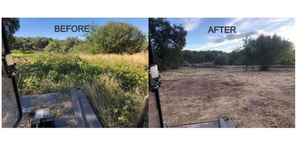 Top-rated residential landscaping in Dearborn Heights, MI - Great services Landscaping