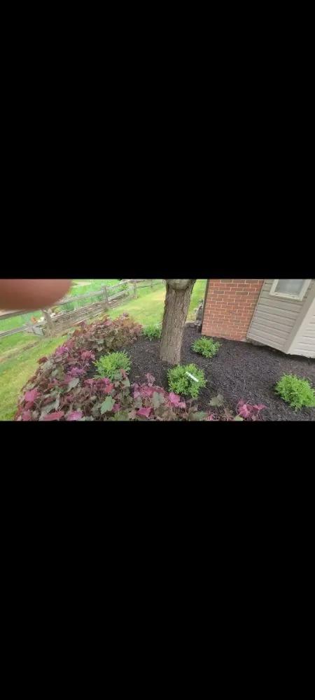 Trusted yard maintenance experts serving Dearborn Heights, MI - Great services Landscaping