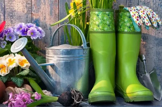 Great Southern Scapes