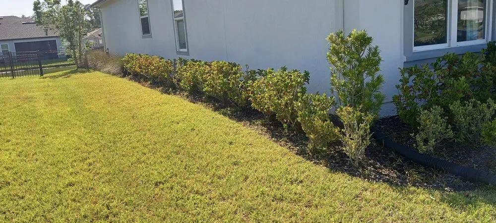 Reliable lawn care service near you across St. Augustine, FL - Great Time Lawn Care