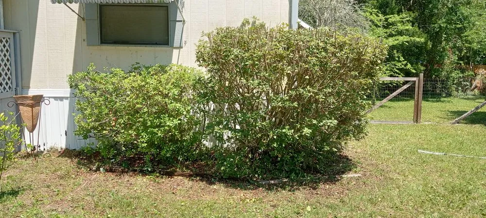 Trusted landscape installation in St. Augustine, FL by Great Time Lawn Care