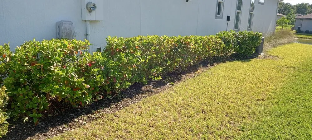 Expert lawn care service experts serving St. Augustine, FL - Great Time Lawn Care