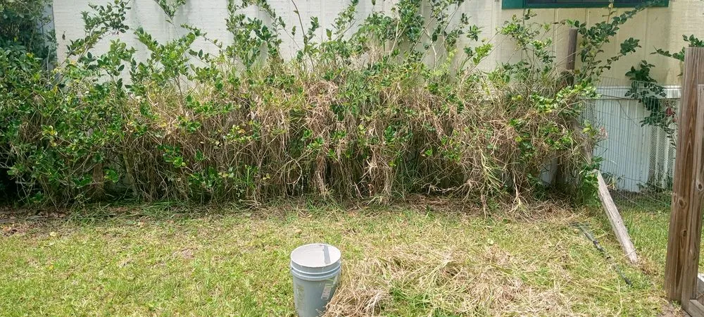 Trusted yard maintenance with custom design in St. Augustine, FL by Great Time Lawn Care