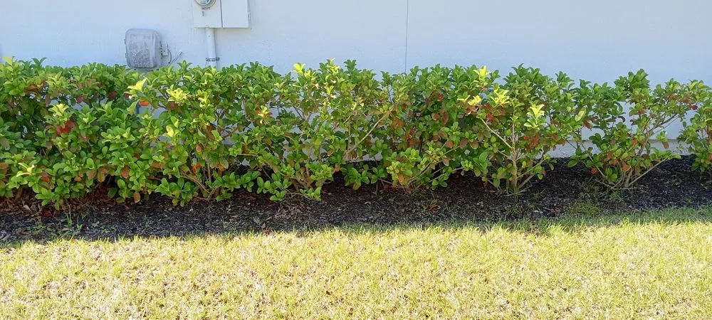 Expert outdoor landscaping in St. Augustine, FL - Great Time Lawn Care