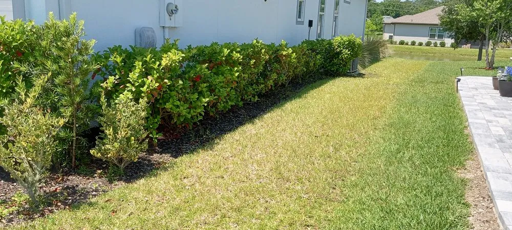Trusted residential landscaping in St. Augustine, FL by Great Time Lawn Care