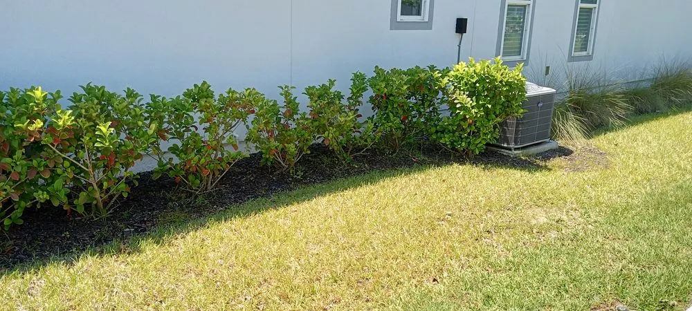 Expert lawn care service with custom design across St. Augustine, FL - Great Time Lawn Care