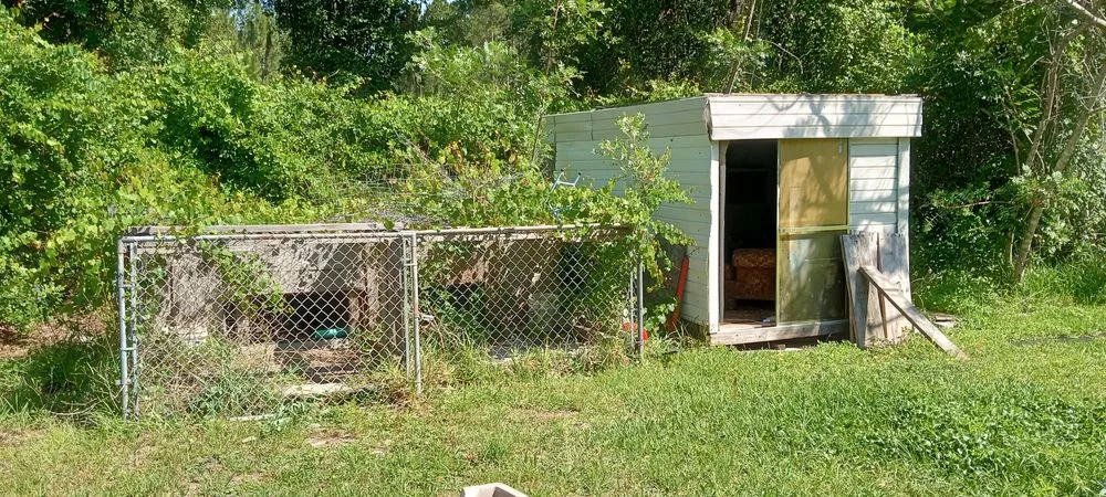 Affordable lawn care service in St. Augustine, FL by Great Time Lawn Care