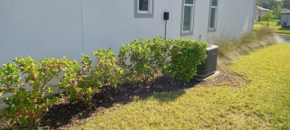 Affordable landscape installation experts serving St. Augustine, FL - Great Time Lawn Care