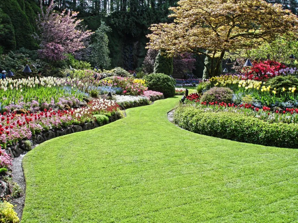 Local landscape installation experts serving Norcross, GA - Great Victory Landscaping & Tree Service