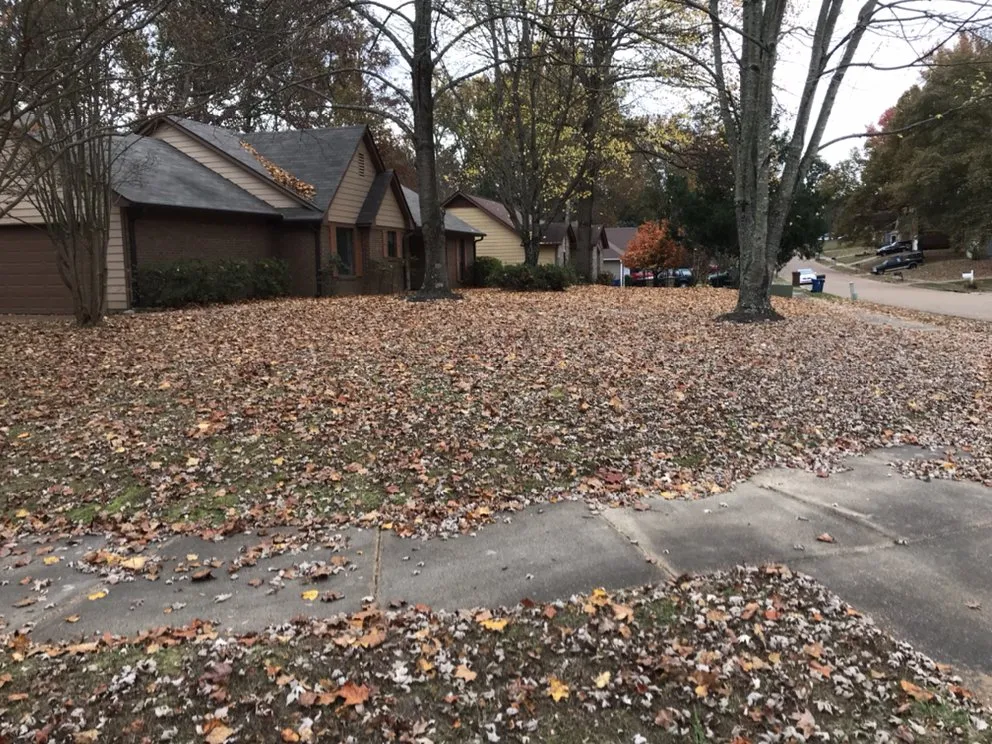 Custom yard maintenance for residential properties in Holly springs, TN by Great View Enterprise