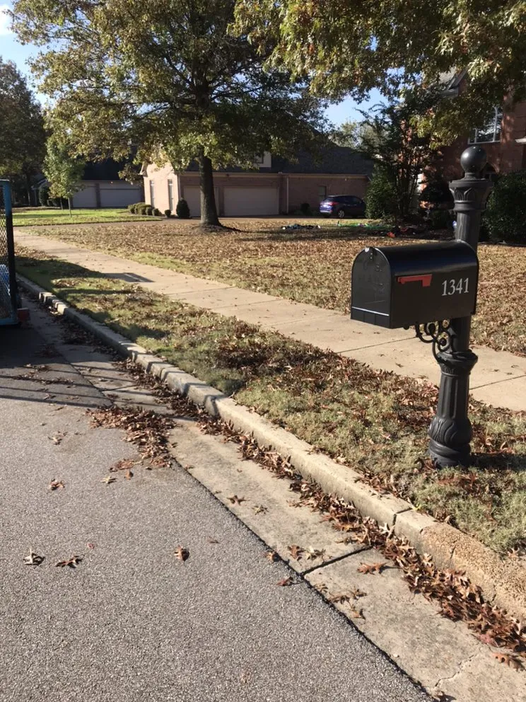 Custom lawn care service in Holly springs, TN - Great View Enterprise