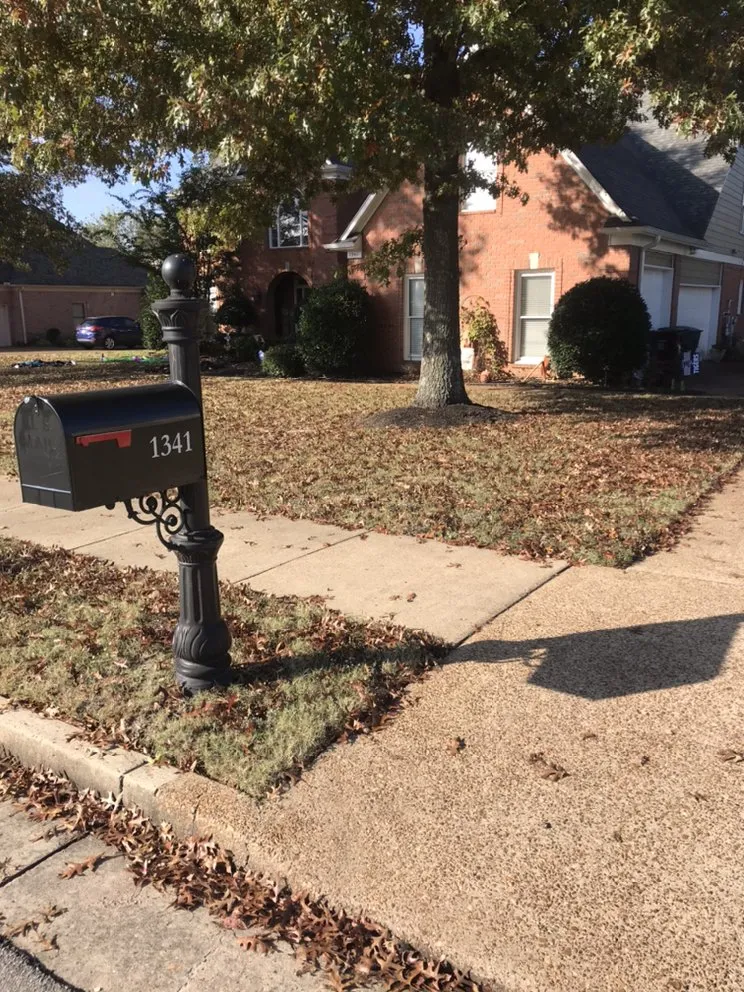 Local landscaping services for outdoor upgrades in Holly springs, TN by Great View Enterprise