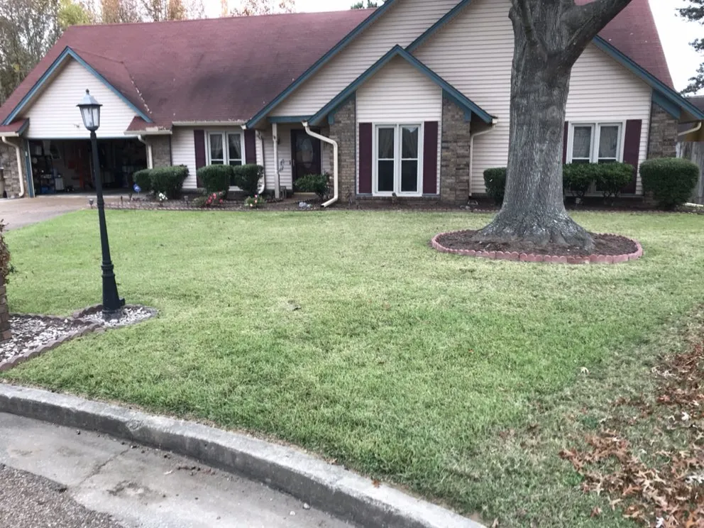 Top-rated residential landscaping in Holly springs, TN by Great View Enterprise