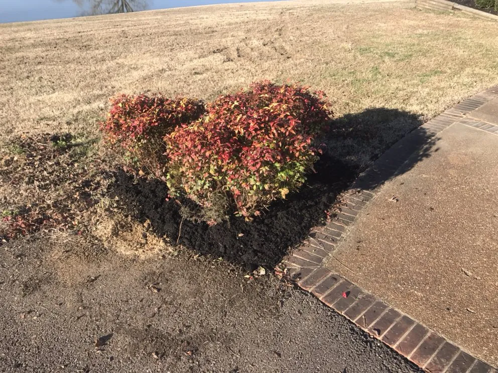 Reliable garden landscaping in Holly springs, TN - Great View Enterprise