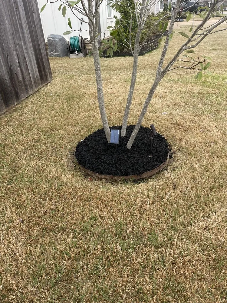 Professional garden landscaping for residential properties in Holly springs, TN by Great View Enterprise