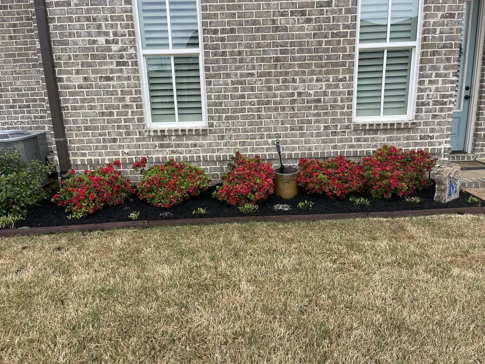 Local landscaping services in Holly springs, TN - Great View Enterprise