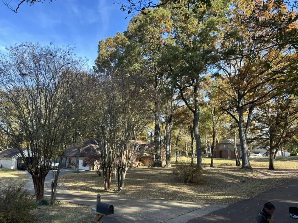 Affordable landscape design in Holly springs, TN - Great View Enterprise