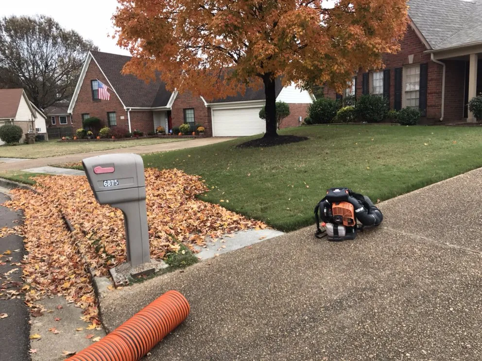 Affordable landscape installation for residential properties across Holly springs, TN - Great View Enterprise