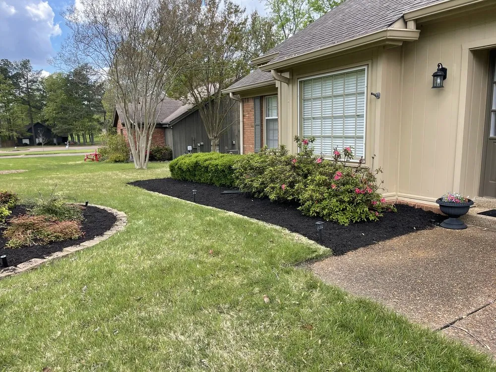 Trusted garden landscaping experts serving Holly Springs, MS - Great view