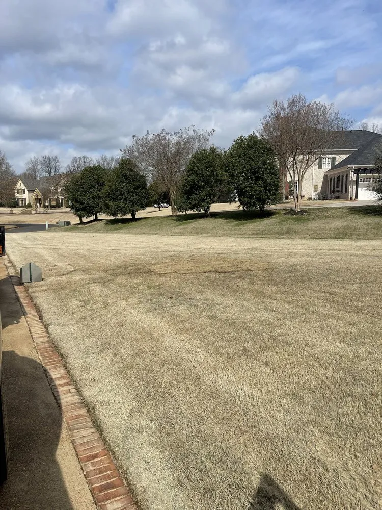 Trusted landscaping services in Holly Springs, MS - Great view