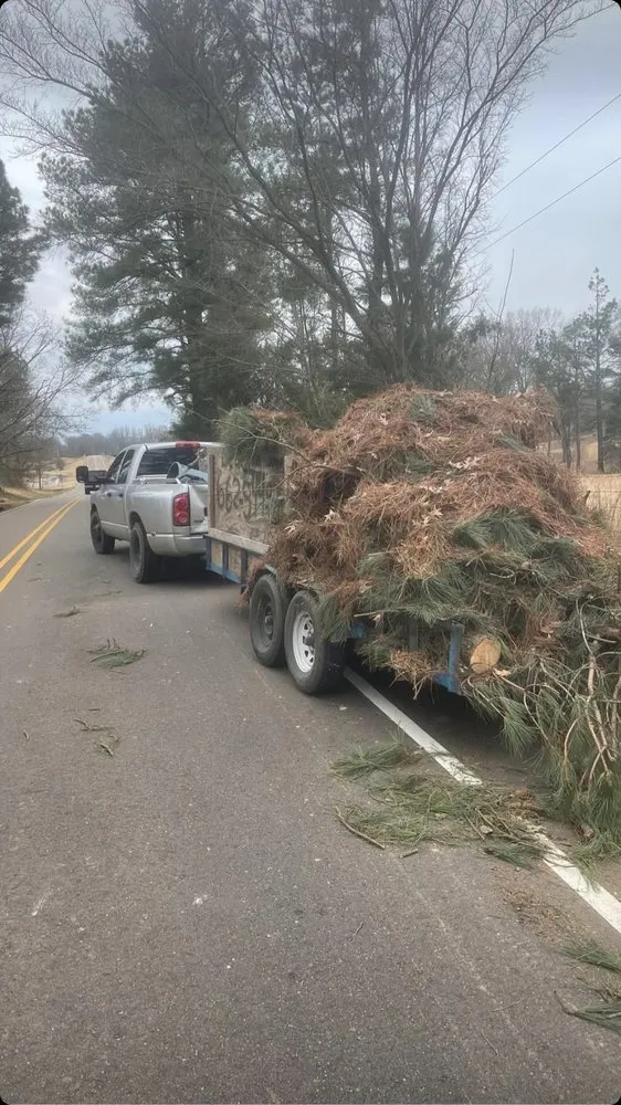 Reliable lawn care service in Holly Springs, MS - Great view