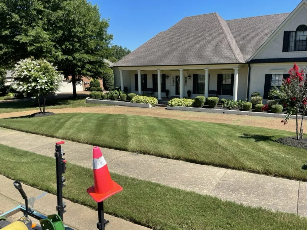 Reliable landscape installation in Holly Springs, MS - Great view