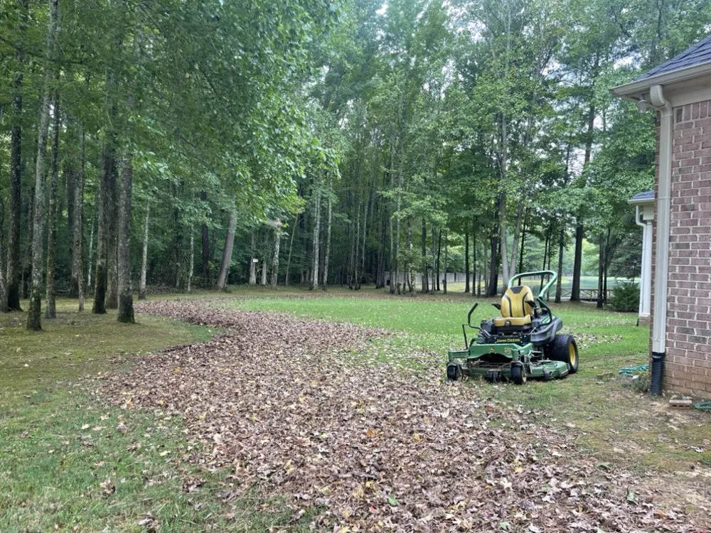 Expert yard cleanup service for outdoor upgrades in Holly Springs, MS by Great view
