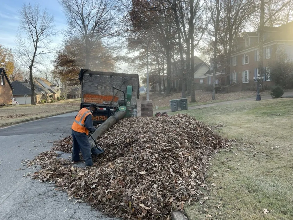 Local residential landscaping in Holly Springs, MS by Great view