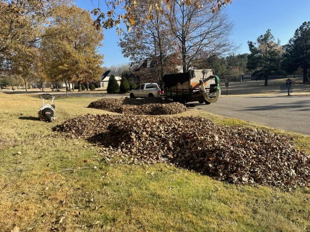 Professional landscape design for outdoor upgrades across Holly Springs, MS - Great view