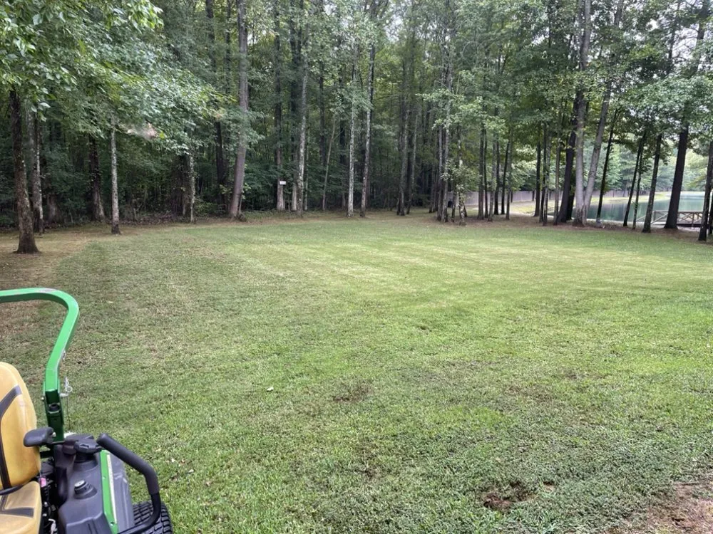 Trusted landscape installation in Holly Springs, MS - Great view