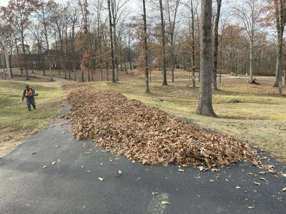 Custom landscape installation experts serving Holly Springs, MS - Great view