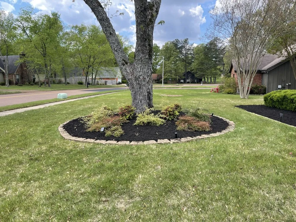 Expert residential landscaping for year-round maintenance in Holly Springs, MS by Great view