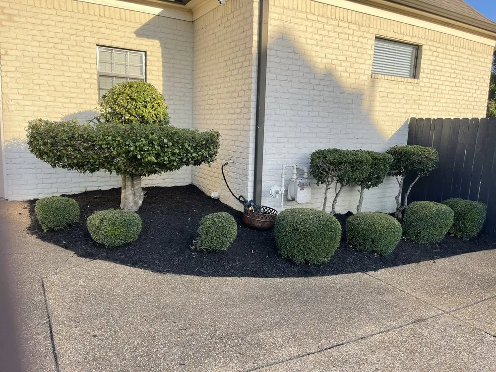 Expert lawn mowing service in Holly Springs, MS - Great view