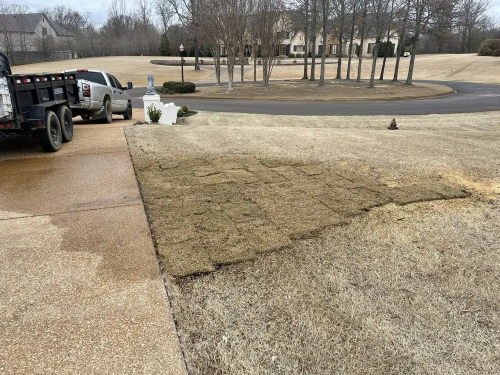 Affordable lawn care service for year-round maintenance across Holly Springs, MS - Great view