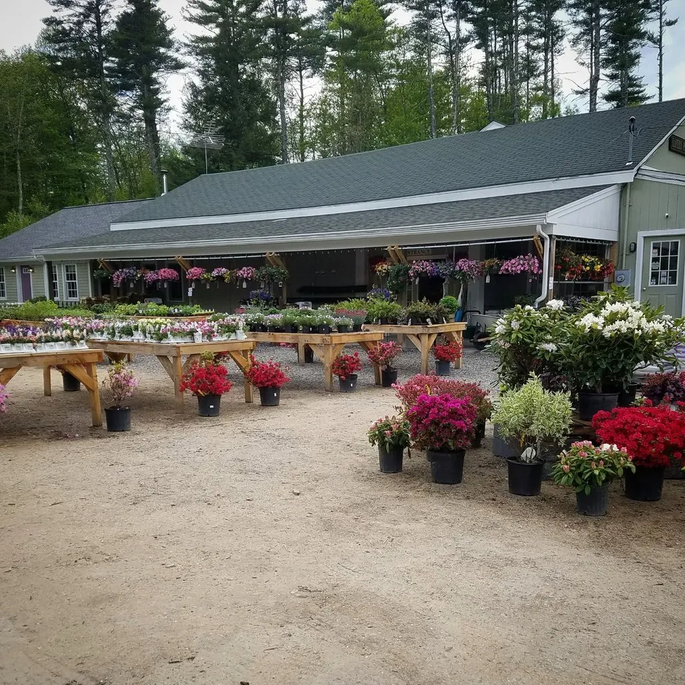 Expert yard maintenance for year-round maintenance across Barrington, NH - Great View Landscape