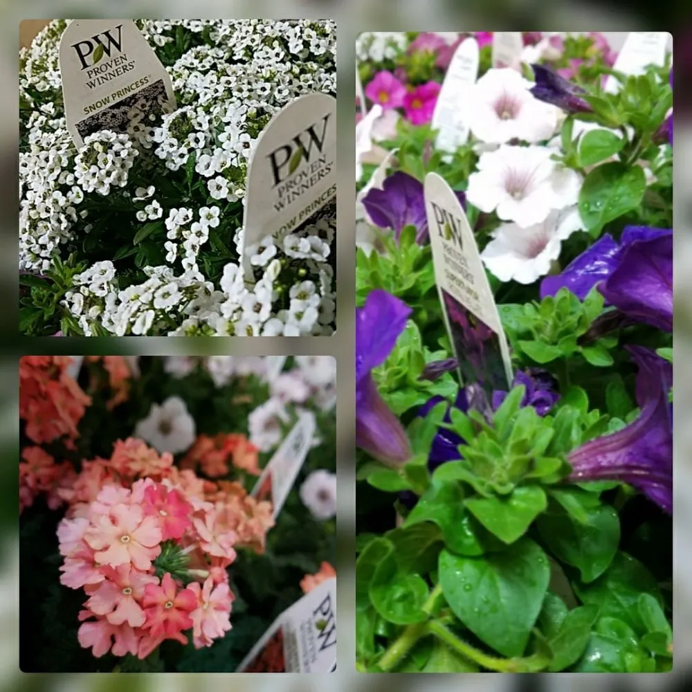 Professional landscaping services for residential properties across Barrington, NH - Great View Landscape