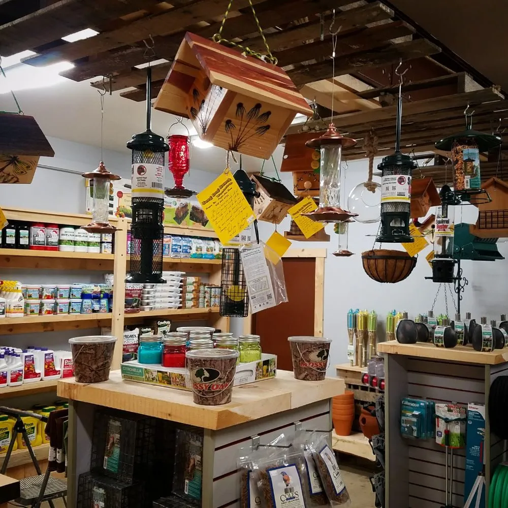 Affordable garden landscaping experts serving Barrington, NH - Great View Landscape