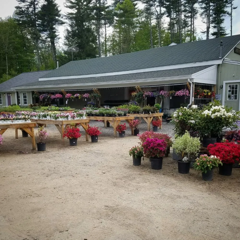 Trusted landscaping services in Barrington, NH by Great View Landscape
