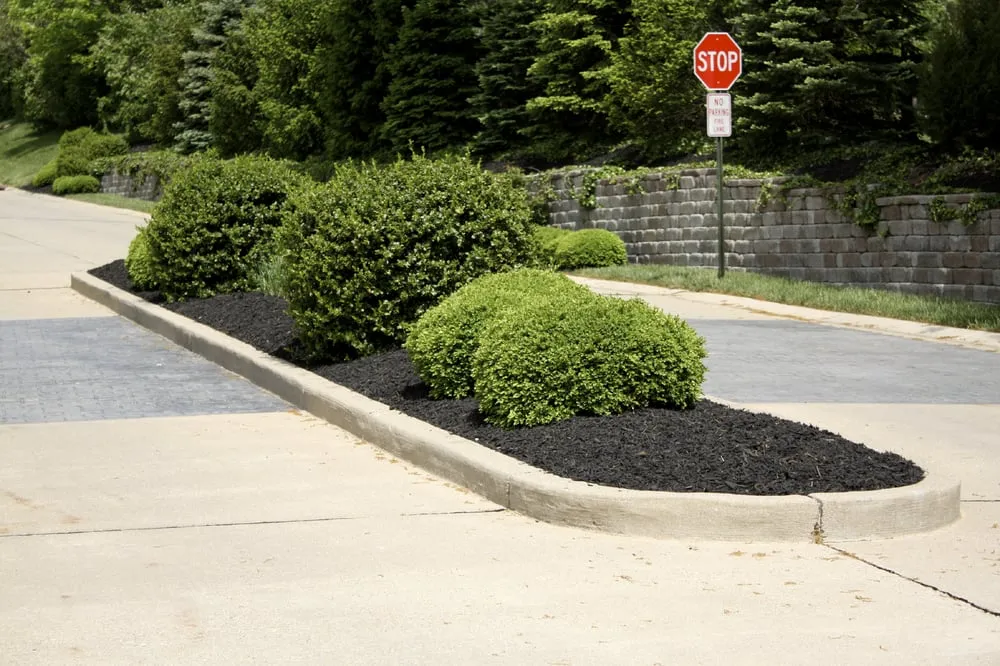 Local landscape design experts serving Austin, TX - Great Western Corporation