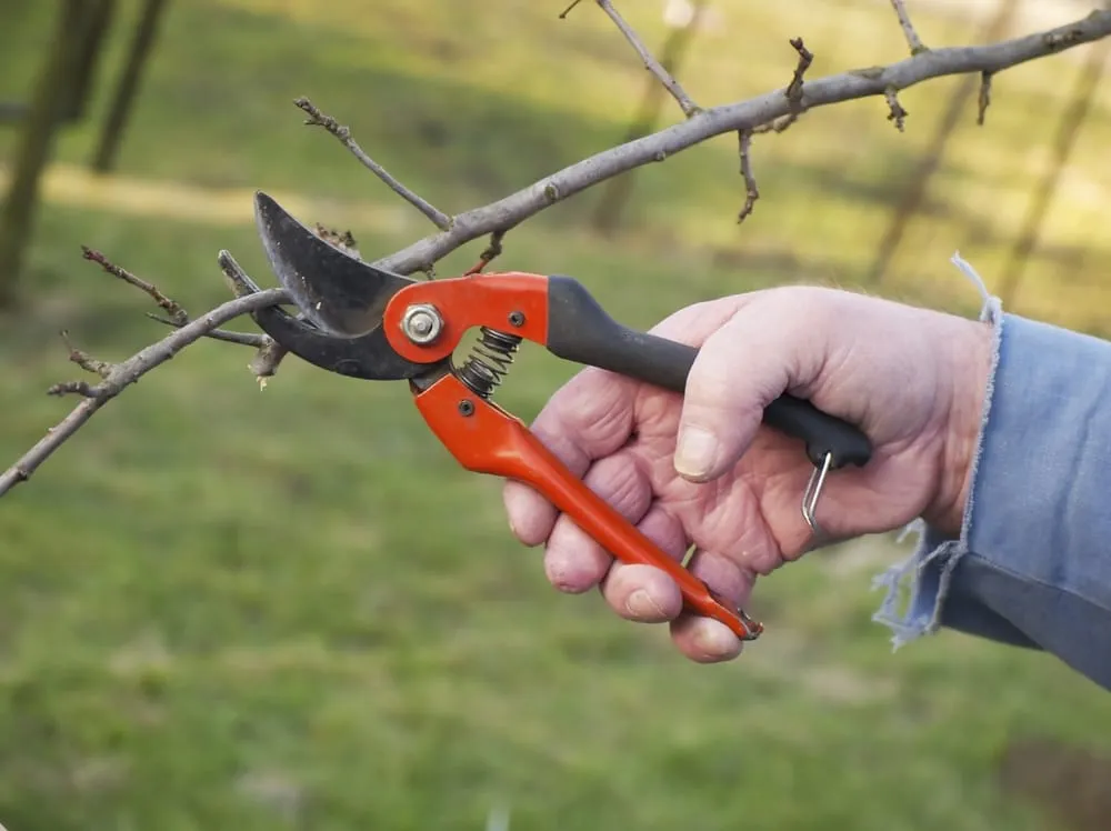 Custom landscape design near you across Austin, TX - Great Western Corporation