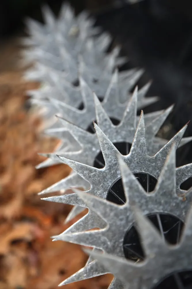 Local yard cleanup service with custom design in Austin, TX by Great Western Corporation